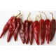 SPICES-RED CHILLI WHOLE-100 GMS